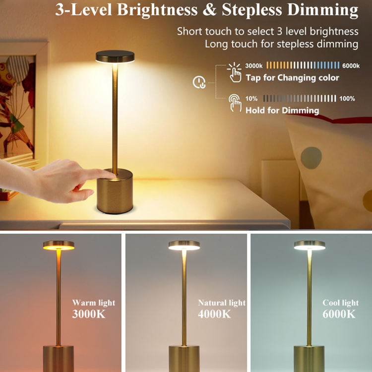 Rechargeable LED Table Lamp (Touch Control)