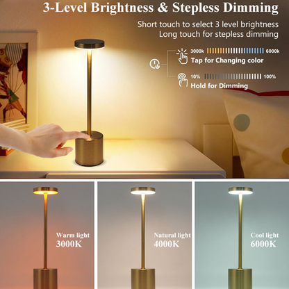 Rechargeable LED Table Lamp (Touch Control)
