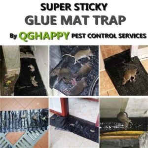 Mouse Trap Glue Sheet, Extra Large Glue Traps for Mice and Rodents (47.2″ x 11″)