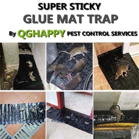 Mouse Trap Glue Sheet, Extra Large Glue Traps for Mice and Rodents (47.2″ x 11″)